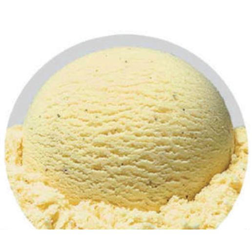 VANILLA ICE CREAM